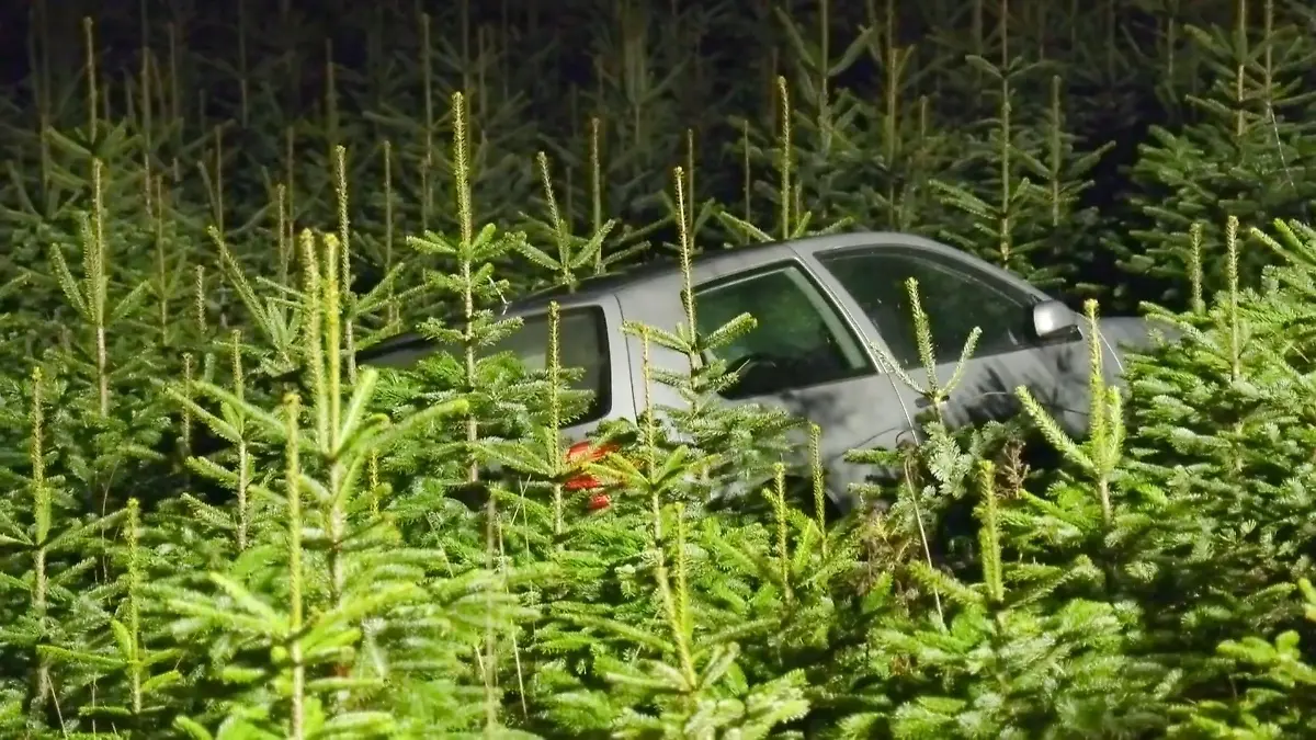 Wilde-Verfolgungsjagd-Wagen-kommt-in-Weihnachtsb-umen-zum-Stehen