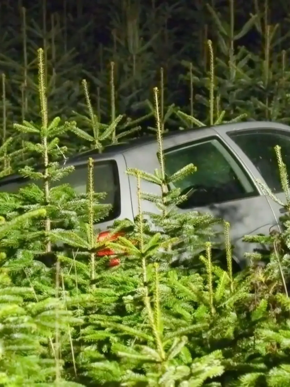 Bild zu: "Verfolgungsjagd im Rhein-Sieg-Kreis"