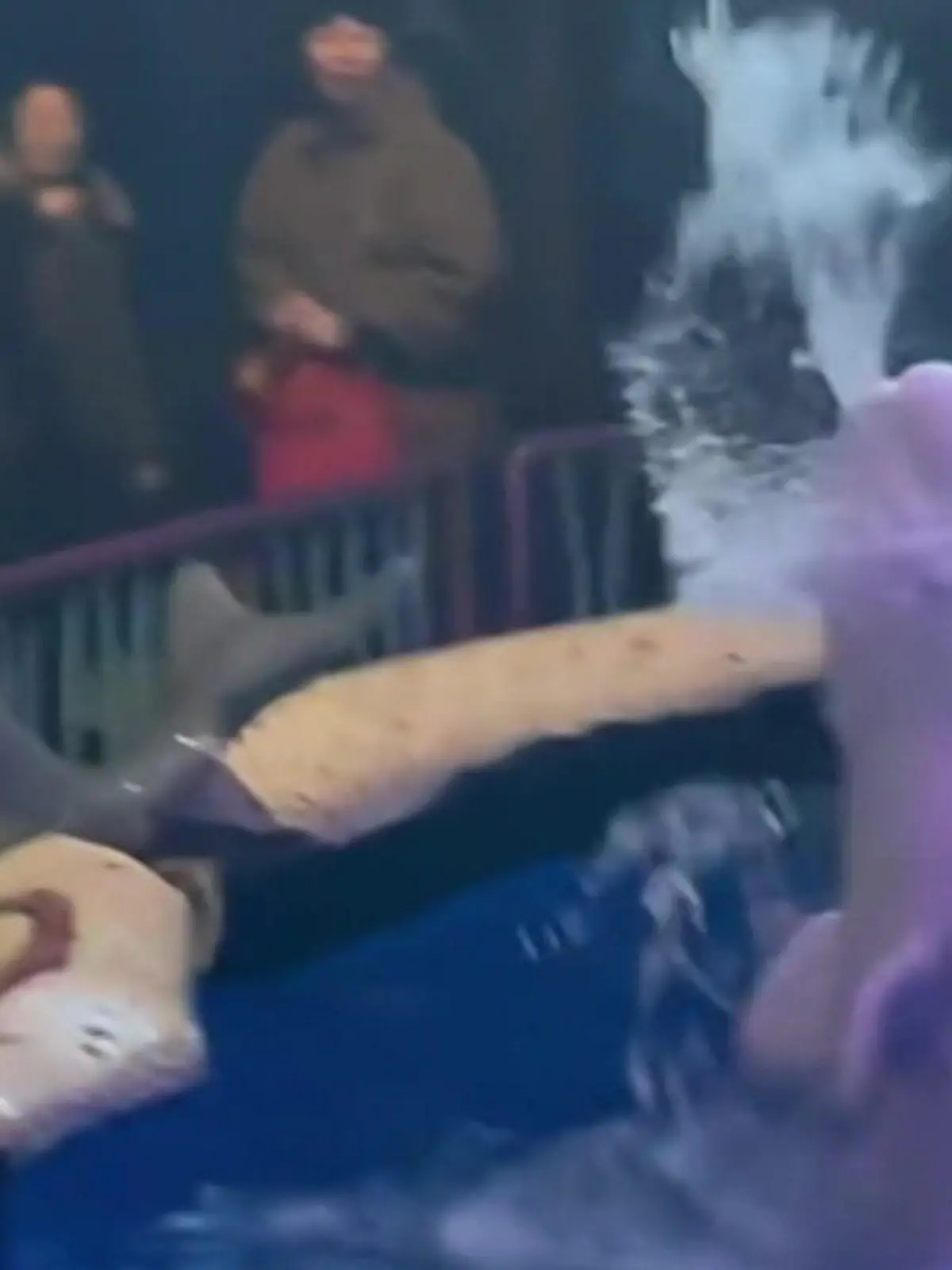 Bild zu: "Rauchen verboten! Belugawal bestraft qualmenden Zoo-Besucher"