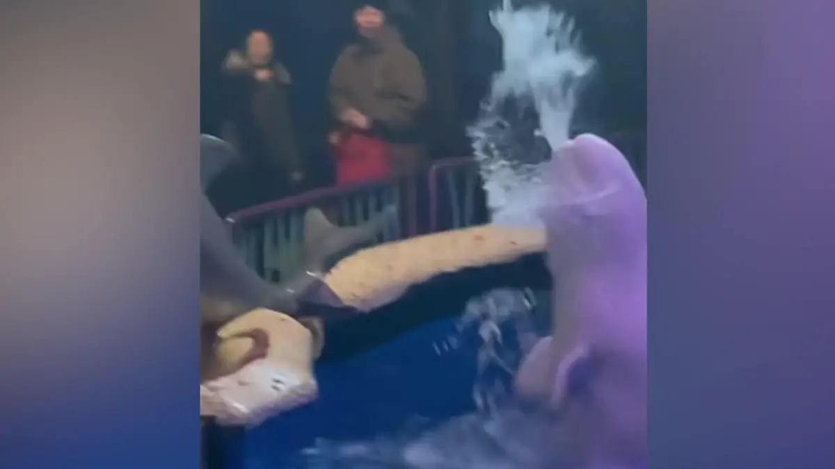 Rauchen-verboten-Belugawal-bestraft-qualmenden-Zoo-Besucher