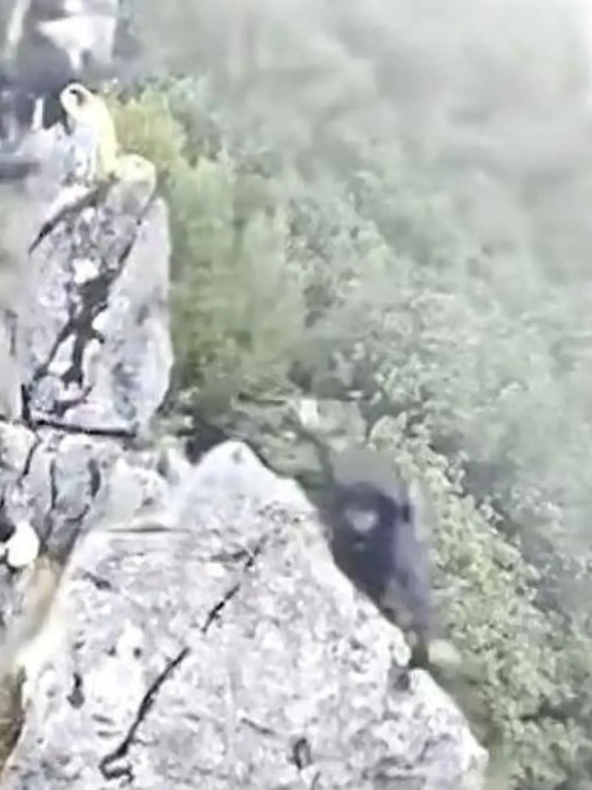 Bild zu: "Selfie an Felswand endet mit Sturz – Wanderer fällt 40 Meter tief"