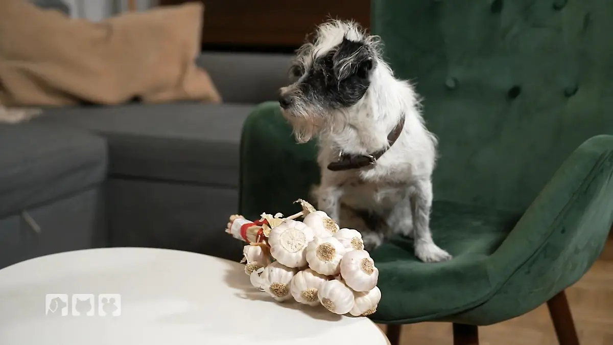 Auch beim Obst und Gemüse ist Vorsicht geboten Obst- und Gemüsegarten