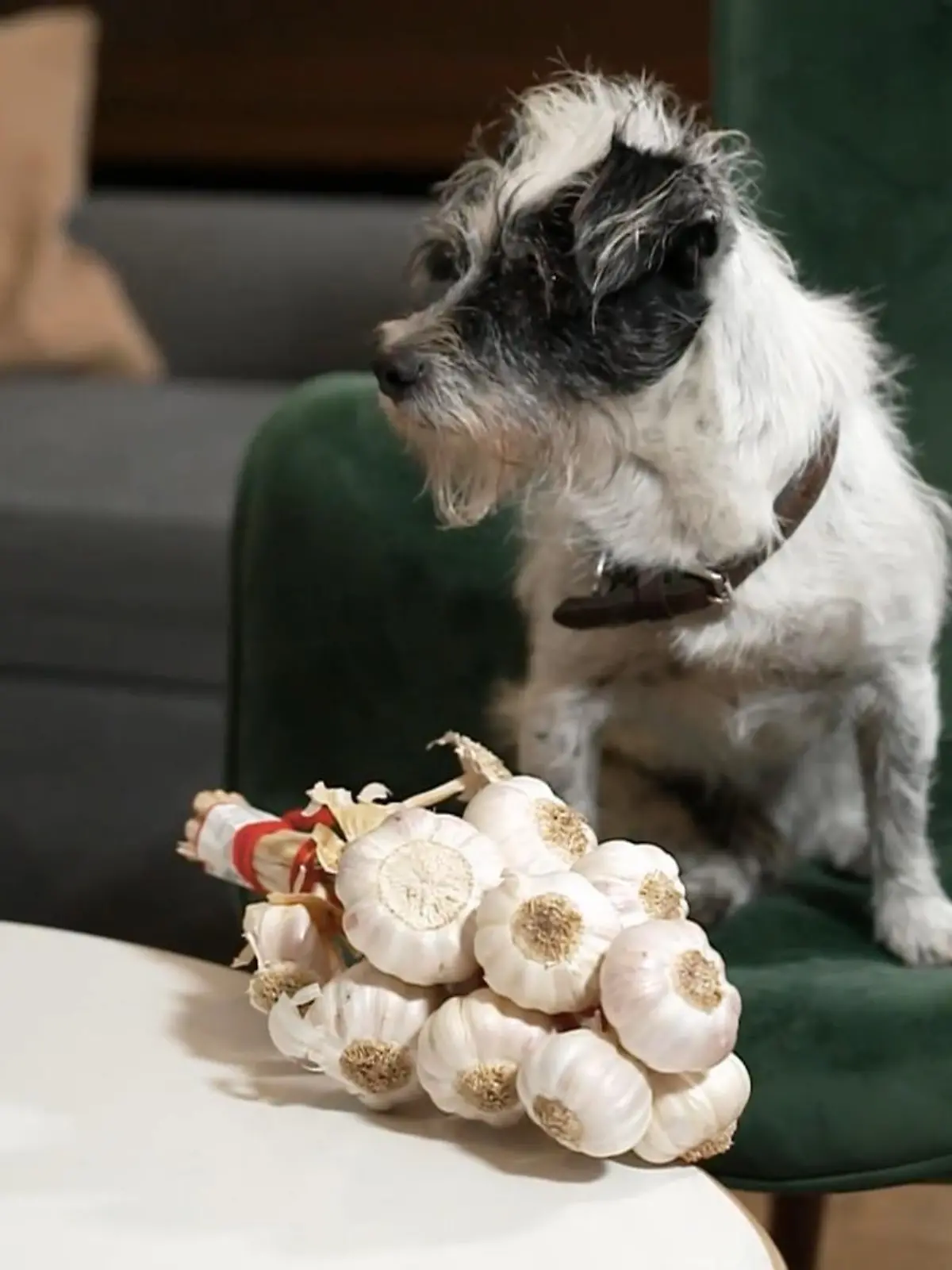 Bild zu: "Auch beim Obst und Gemüse ist Vorsicht geboten"