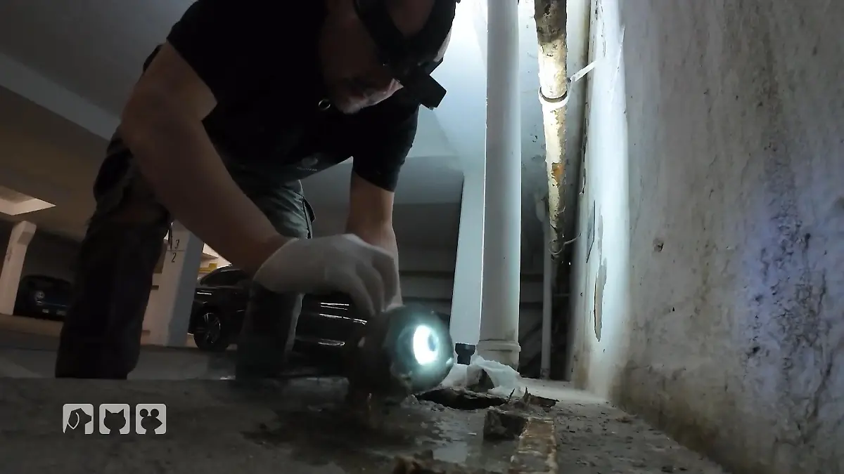 Suche nach dem Küken in der Kanalisation Schmutzige Angelegenheit