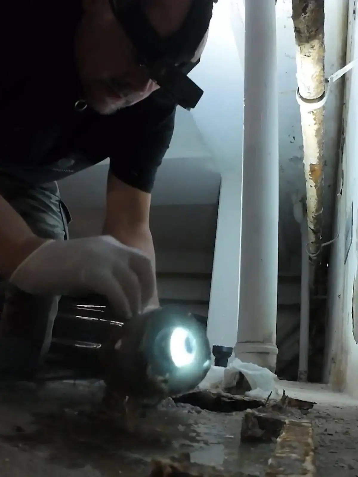 Bild zu: "Suche nach dem Küken in der Kanalisation"