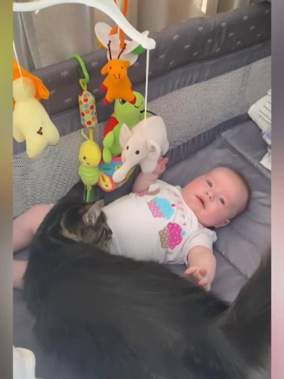 Bild zu: "Katze beruhigt weinendes Baby"