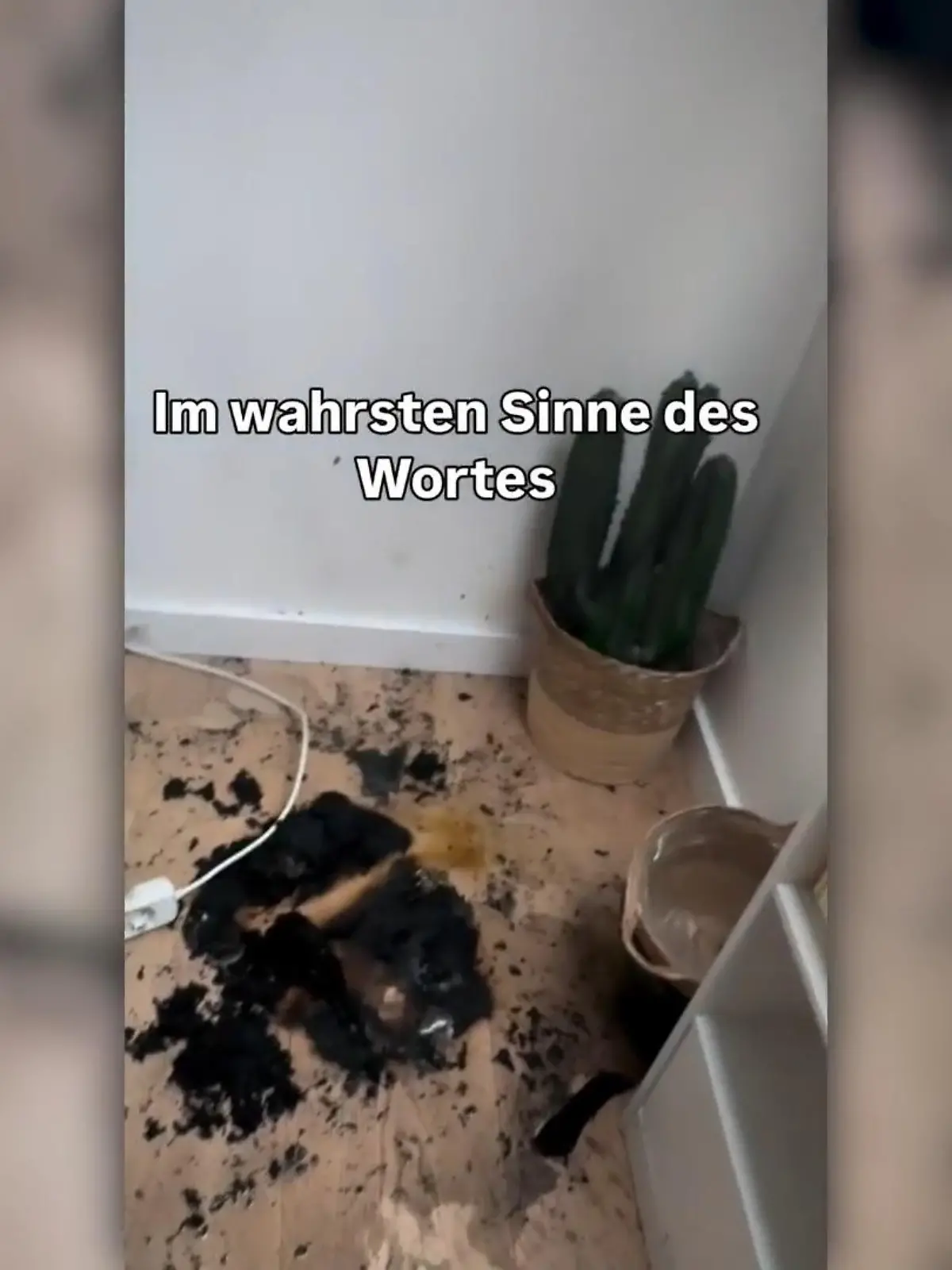 Bild zu: "Feuerwehreinsatz bei Panagiota Petridou!"