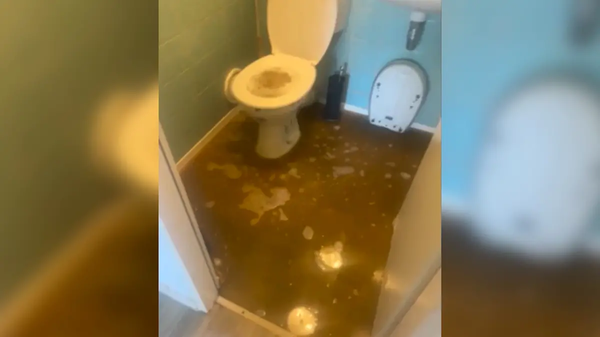 -Wei-er-Riese-in-Duisburg-Familie-Celik-k-mpft-mit-Tausenden-Litern-F-kalienwasser-in-ihrer-Wohnung