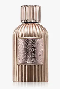 Paris Corner Qissa Delicious