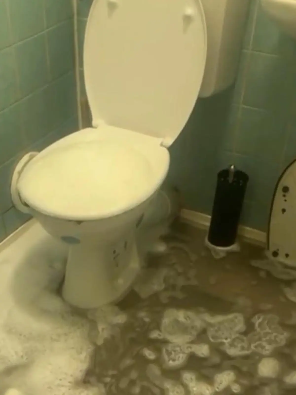 Bild zu: "Völlig verwüstet! Abwasser ruiniert die gesamte Wohnung von Familie Celik"