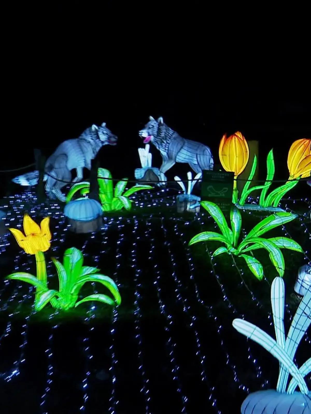 Bild zu: "China Lights im Kölner Zoo"