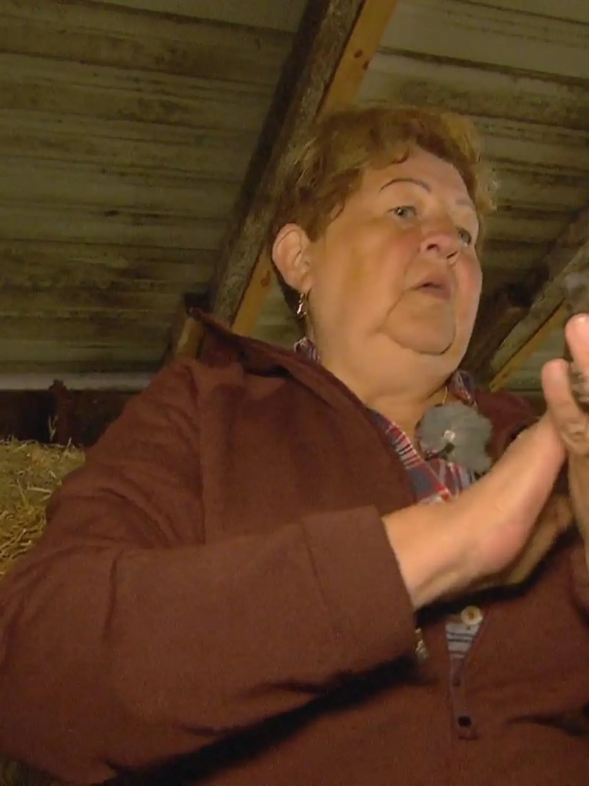 Bild zu: "Walter zeigt Katharina den Katzennachwuchs"