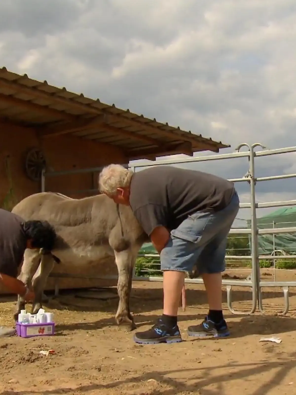 Bild zu: "Simone und Frank kümmern sich um Esel Maxel"