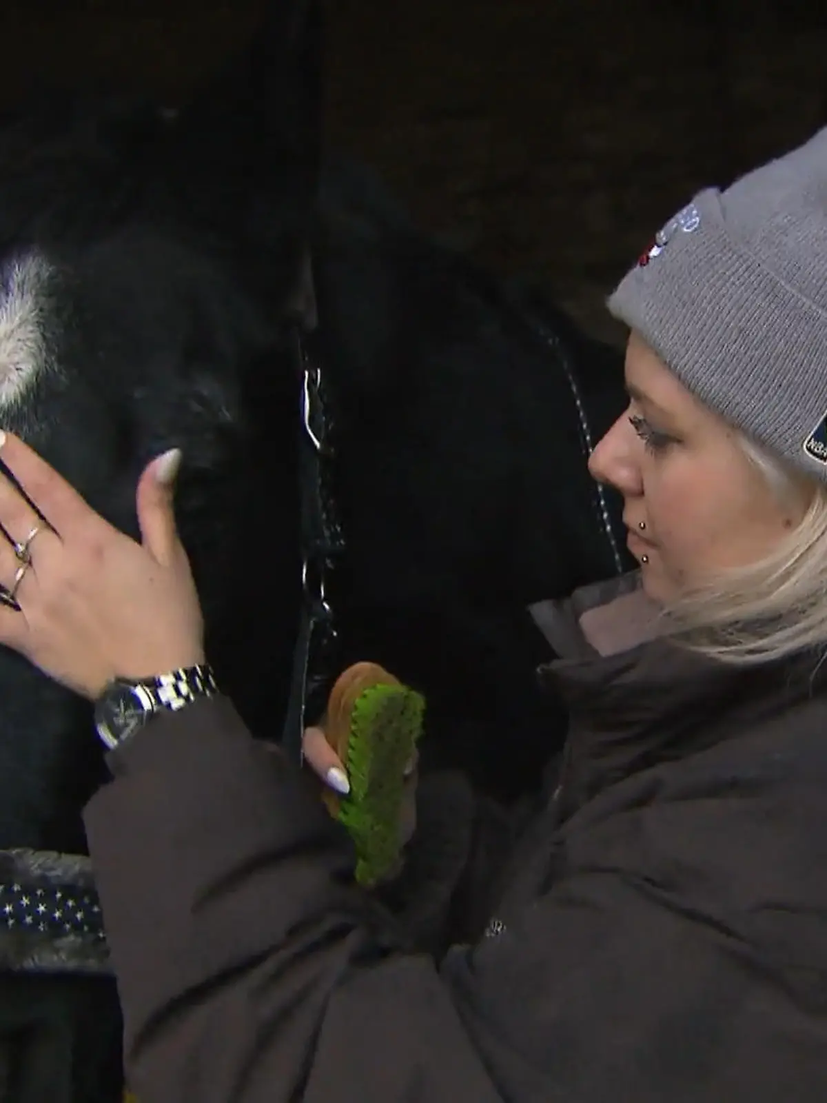 Bild zu: "Nicole ist jeden Tag bei ihrem Pferd"