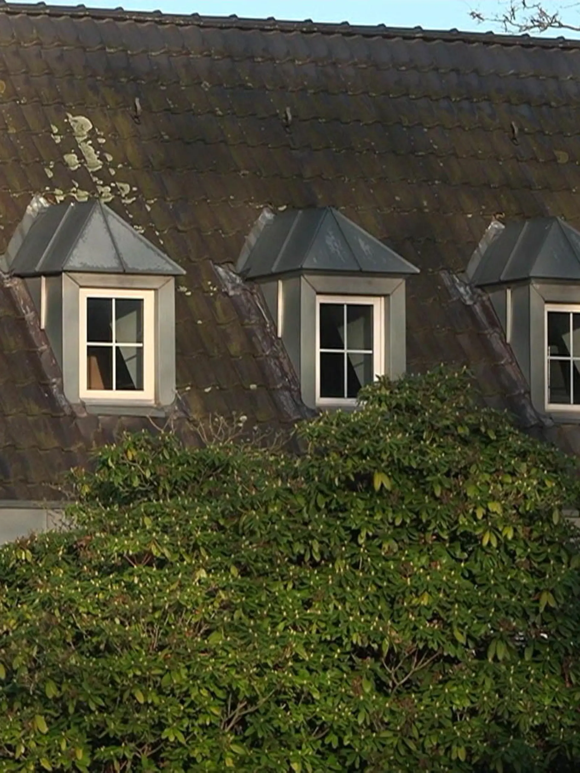 Bild zu: "Einbrecher rauben Luxusvilla aus – während Familie zu Hause ist"