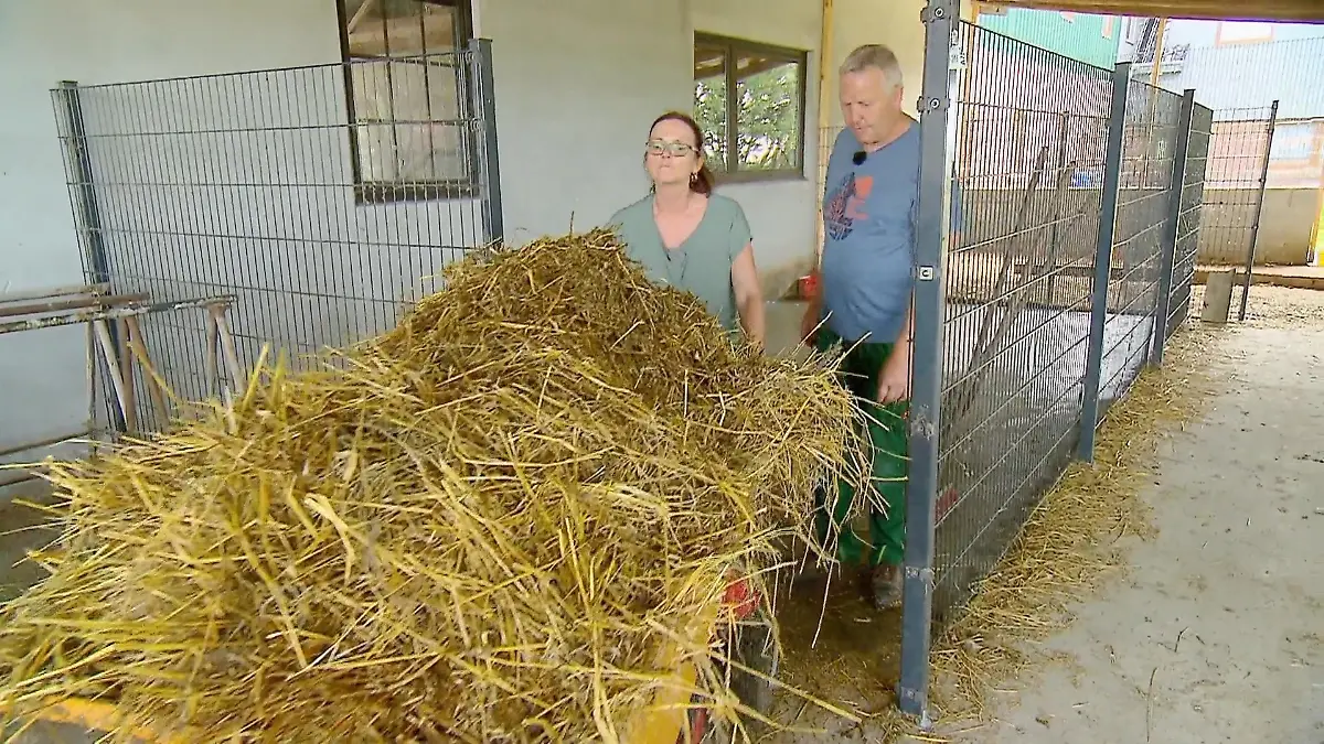 Kirstin packt trotz Erkältung mit an Der Gänsemist muss weg