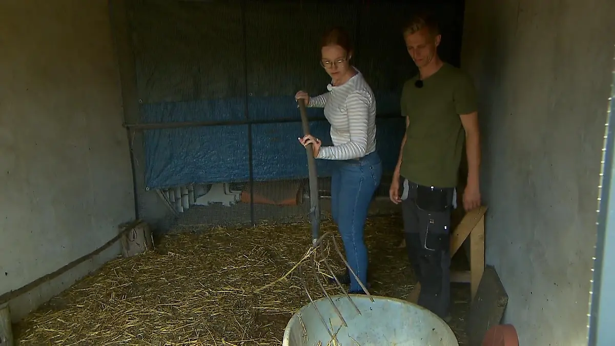 Zusammen geht’s in den Hühnerstall Pauline & Christopher