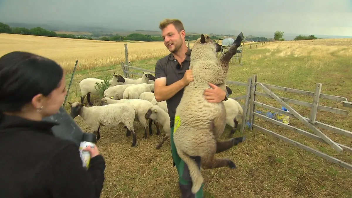 Michi & Valentina im Einsatz bei den Lämmern Mit viel Spaß