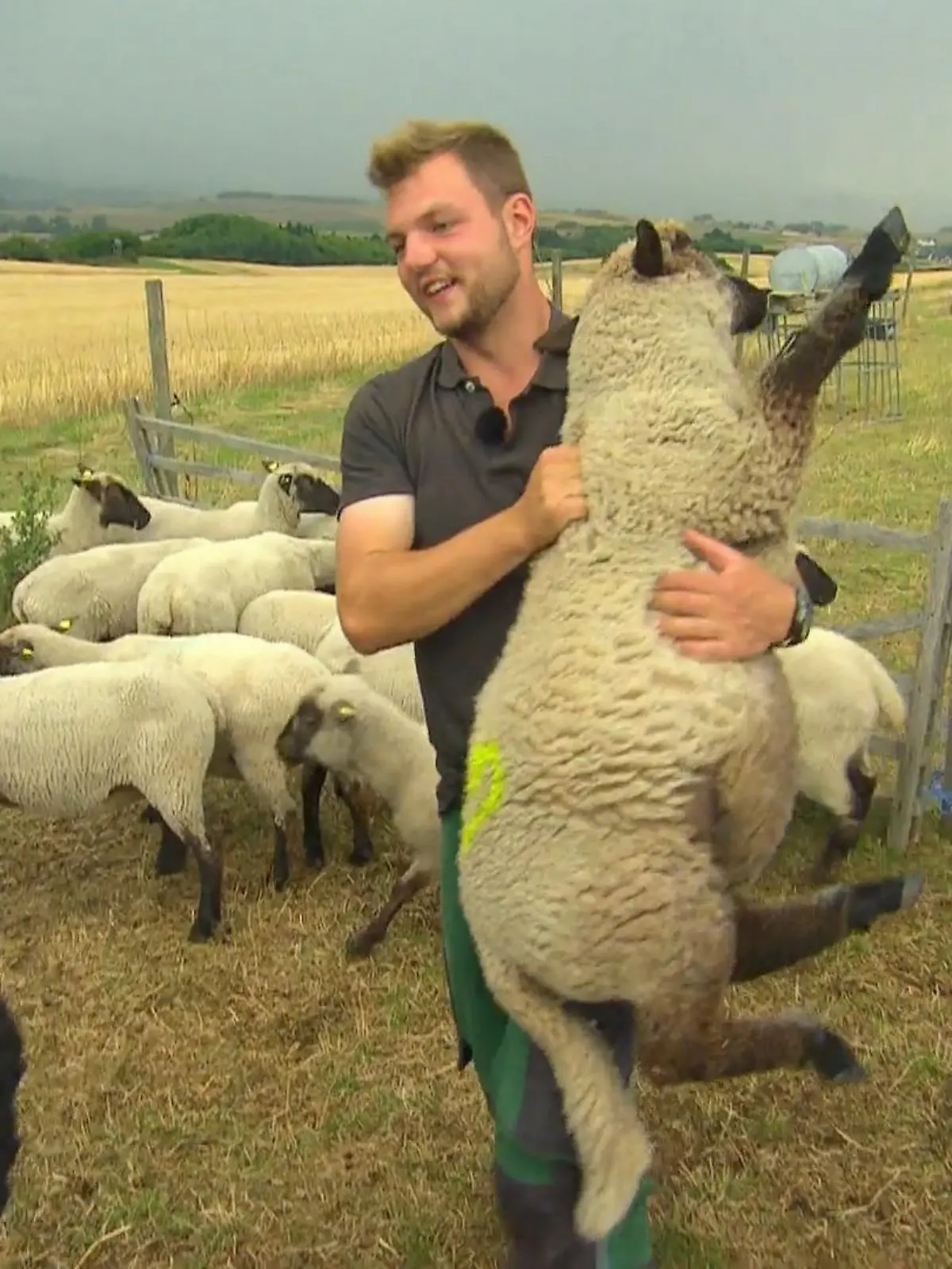 Bild zu: "Michi & Valentina im Einsatz bei den Lämmern"