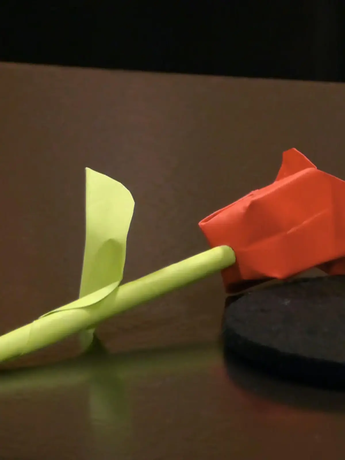 Bild zu: "Kilian vergibt die letzte Tulpe"