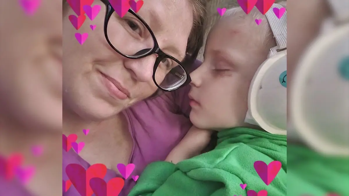 Jacksonville-Florida-Hunde-bei-en-Roland-4-Ohr-ab