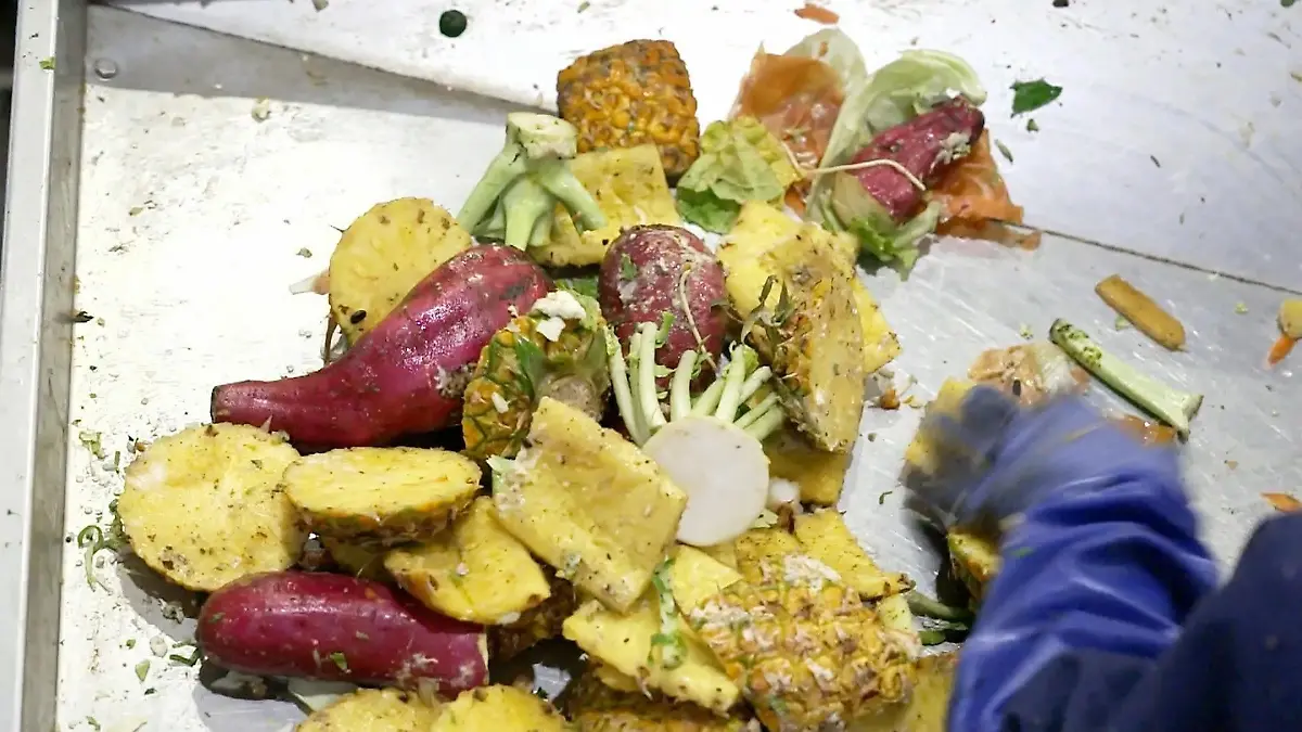 Diese Erfindung könnte die Lebensmittelindustrie revolutionieren Schweinefutter aus Müll