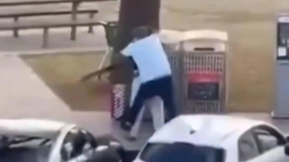 Held von Bondi Beach! Passant überwältigt Attentäter Terroranschlag in Sydney