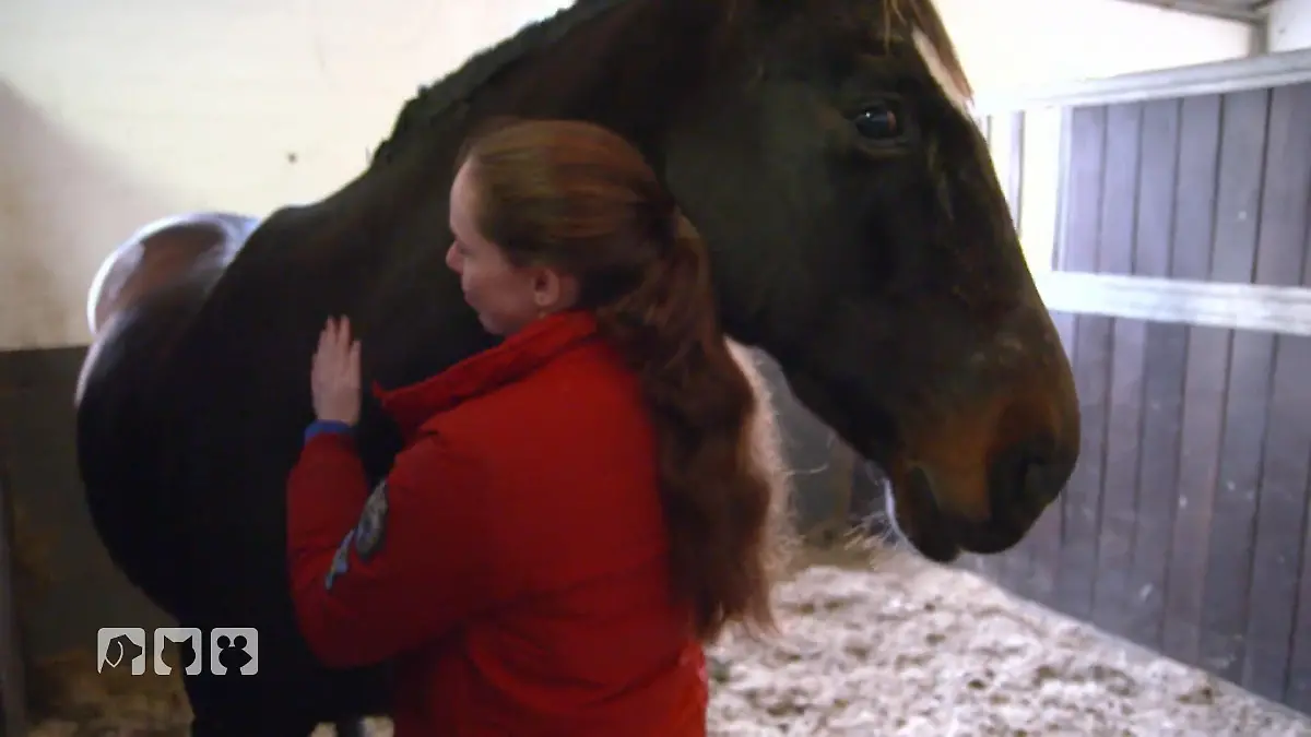 Emotionaler Abschied 