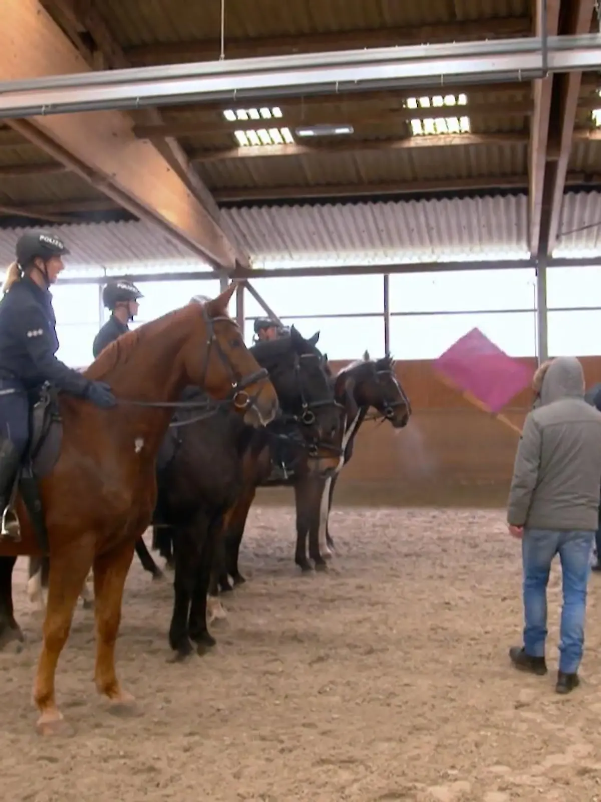 Bild zu: "Streife und Stresstraining"