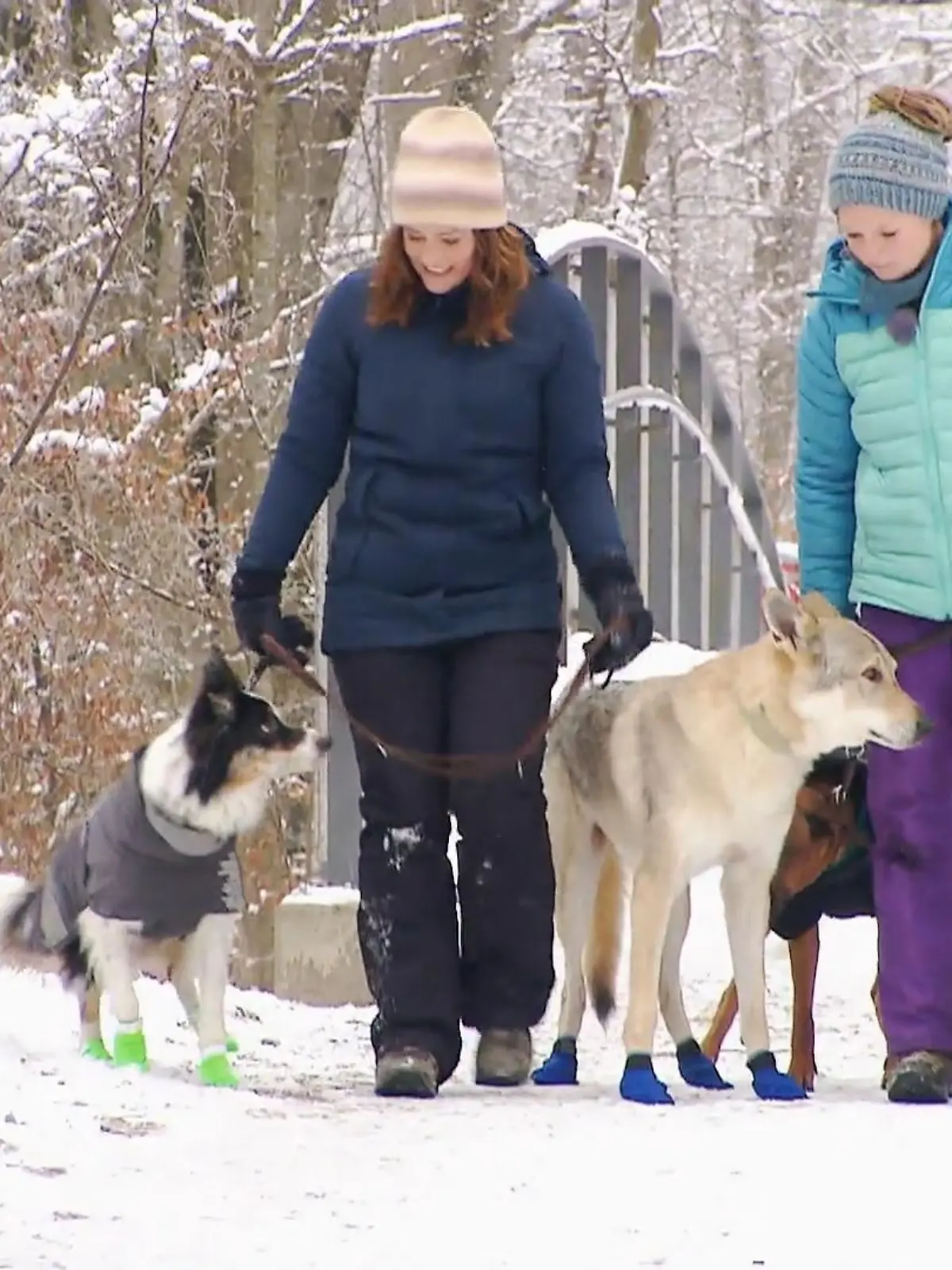 Bild zu: "So wird der Spaziergang im Schnee für alle ein Spaß"