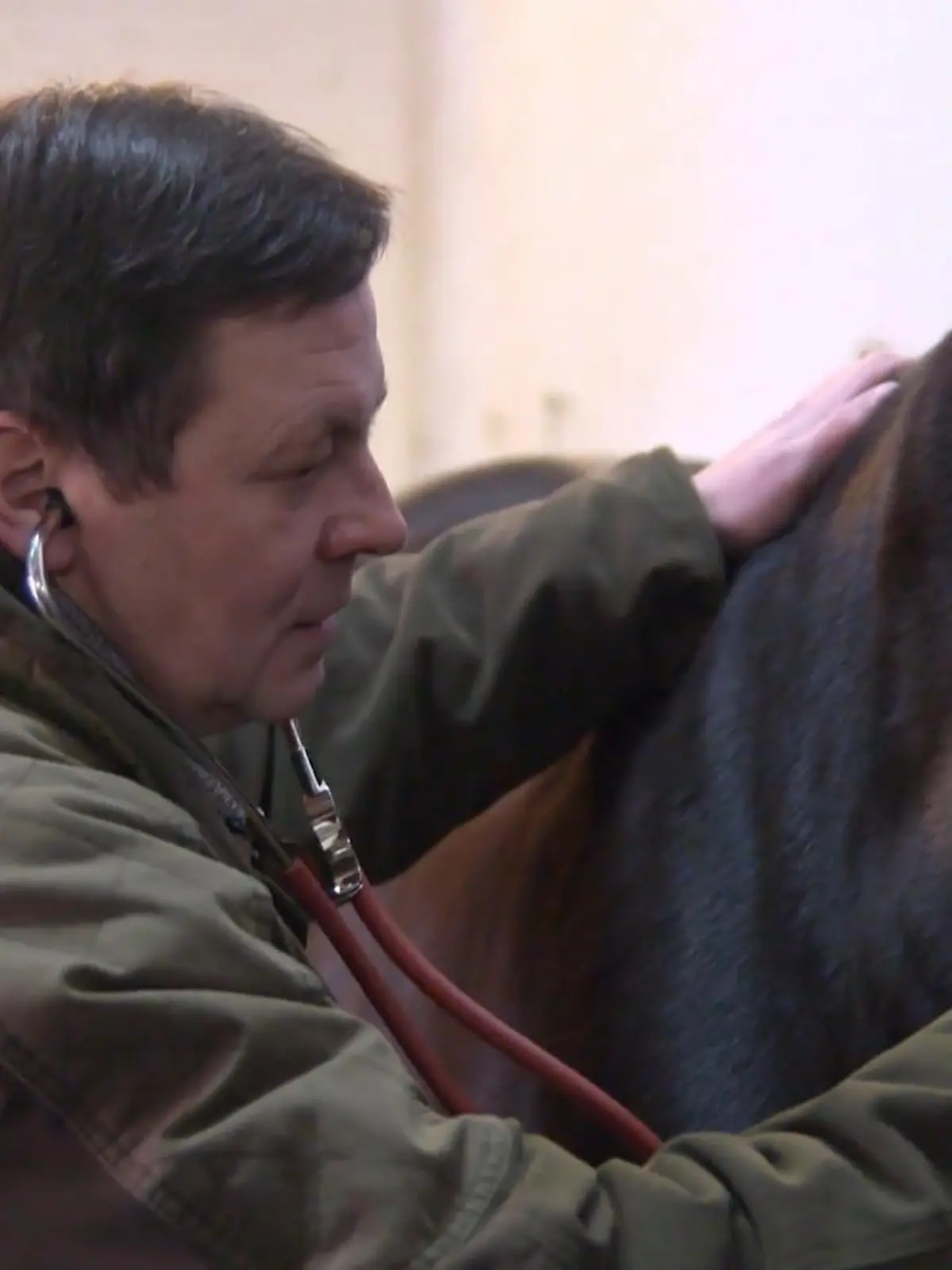 Bild zu: "Lucky durchläuft seine letzte Eignungsprüfung"