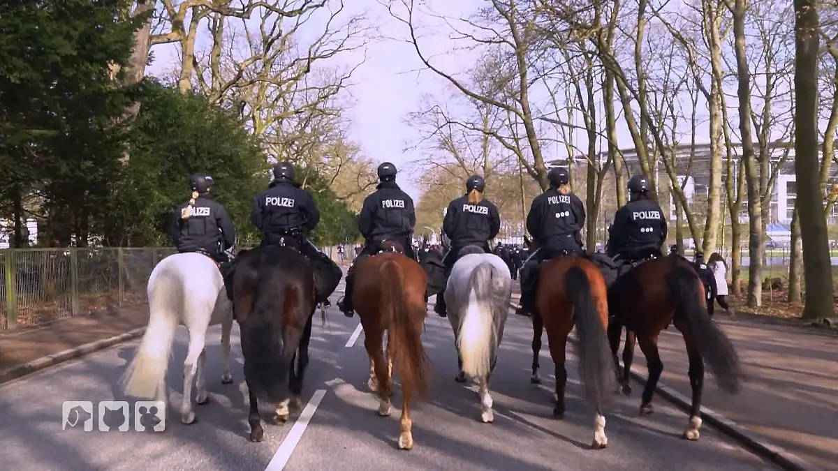 Athos erster Einsatz als Polizeipferd Einsatz beim HSV