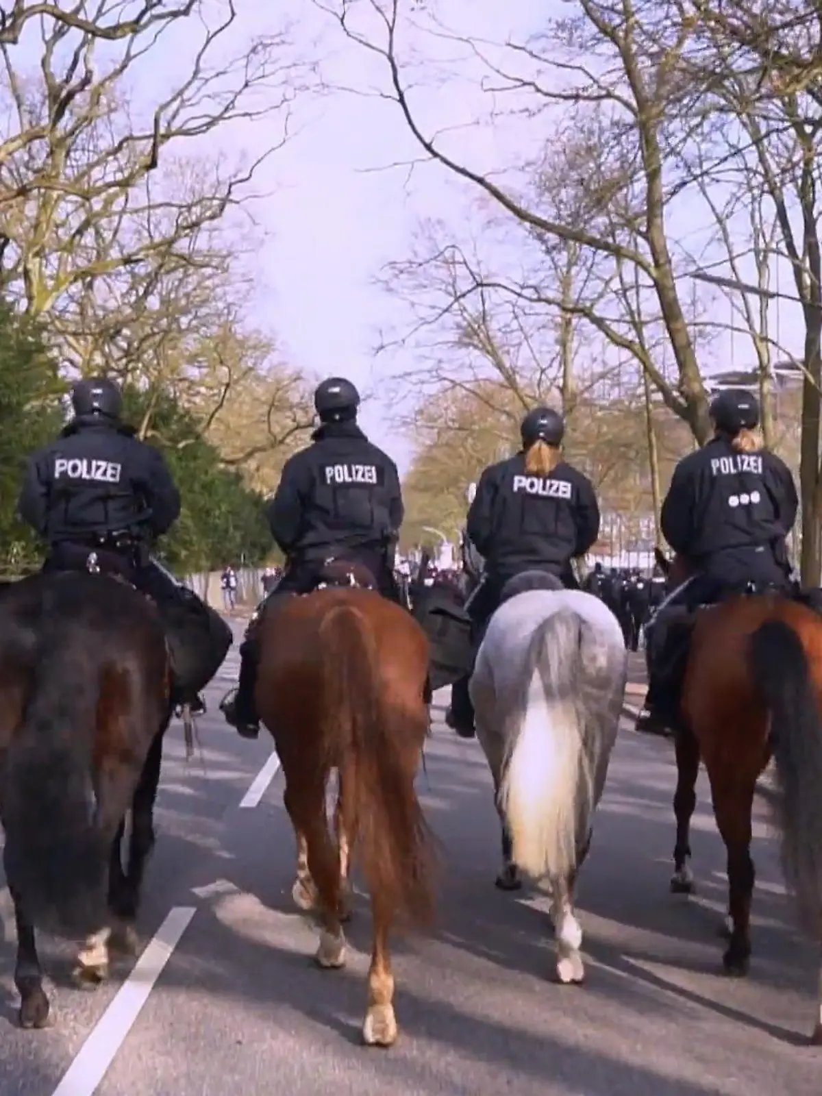 Bild zu: "Athos erster Einsatz als Polizeipferd"