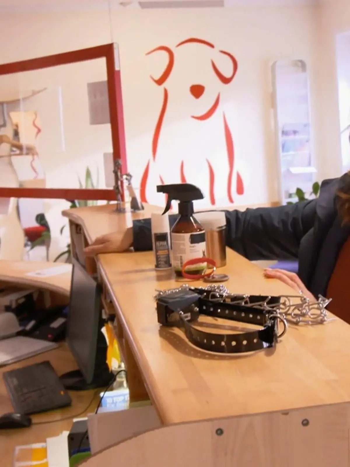 Bild zu: "Skurrile Trainings- und Erziehungsmaßnahmen"