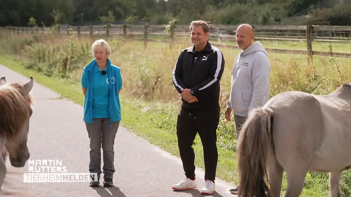 "Wir machen da weiter, wo andere aufhören" Besuch im Tierschutzzentrum
