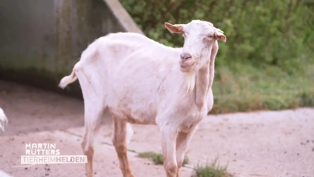Hier wird jeder aufgepäppelt "Skelette mit Haut überzogen"