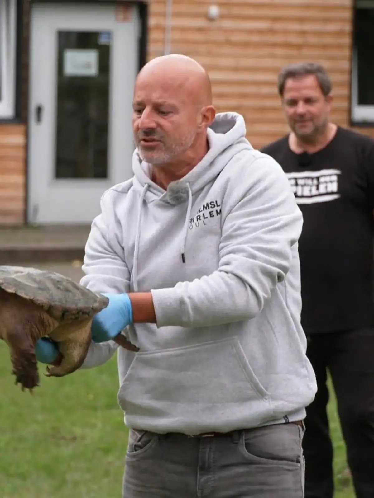 Bild zu: "Schnappschildkröte soll zum Überwintern umziehen"