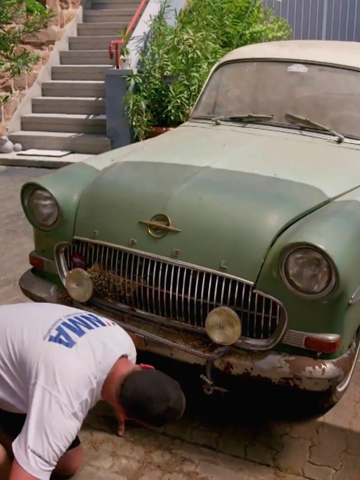 Bild zu: "Schatz oder Schummel`?"