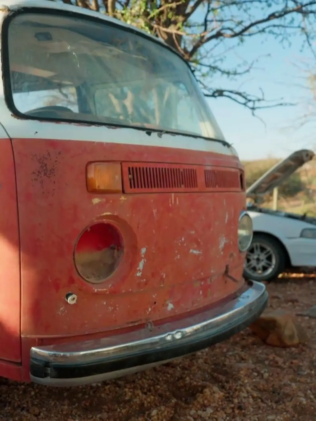 Bild zu: "Hänger-Herausforderung im Busch"