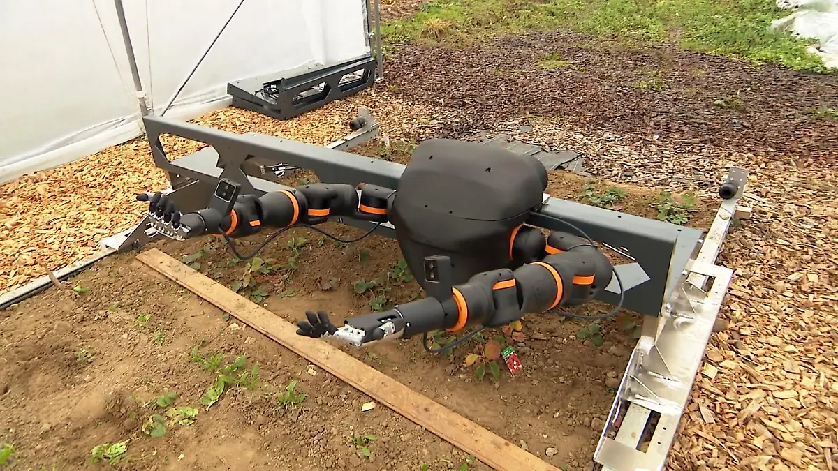 KI in der Landwirtschaft Roboterarme für die Ernte