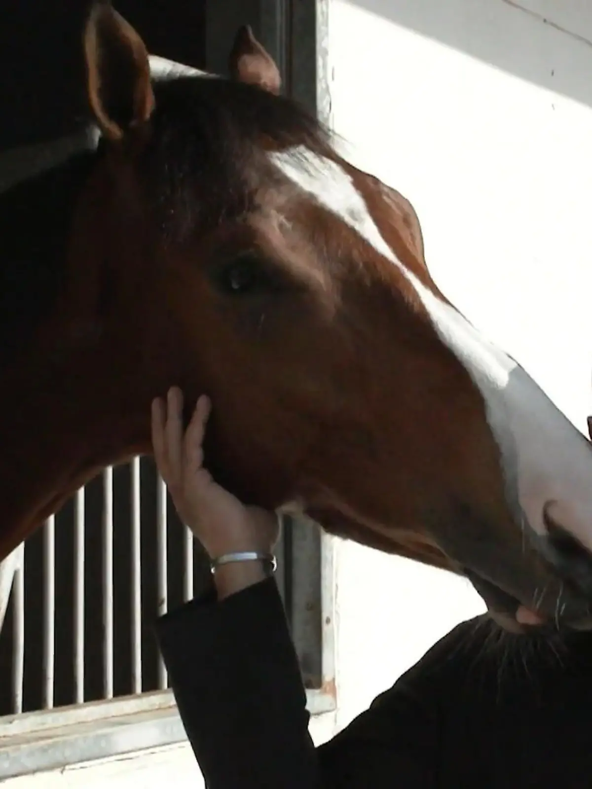 Bild zu: "Ex-Boyband-Star Akay Kayed in Dubai"