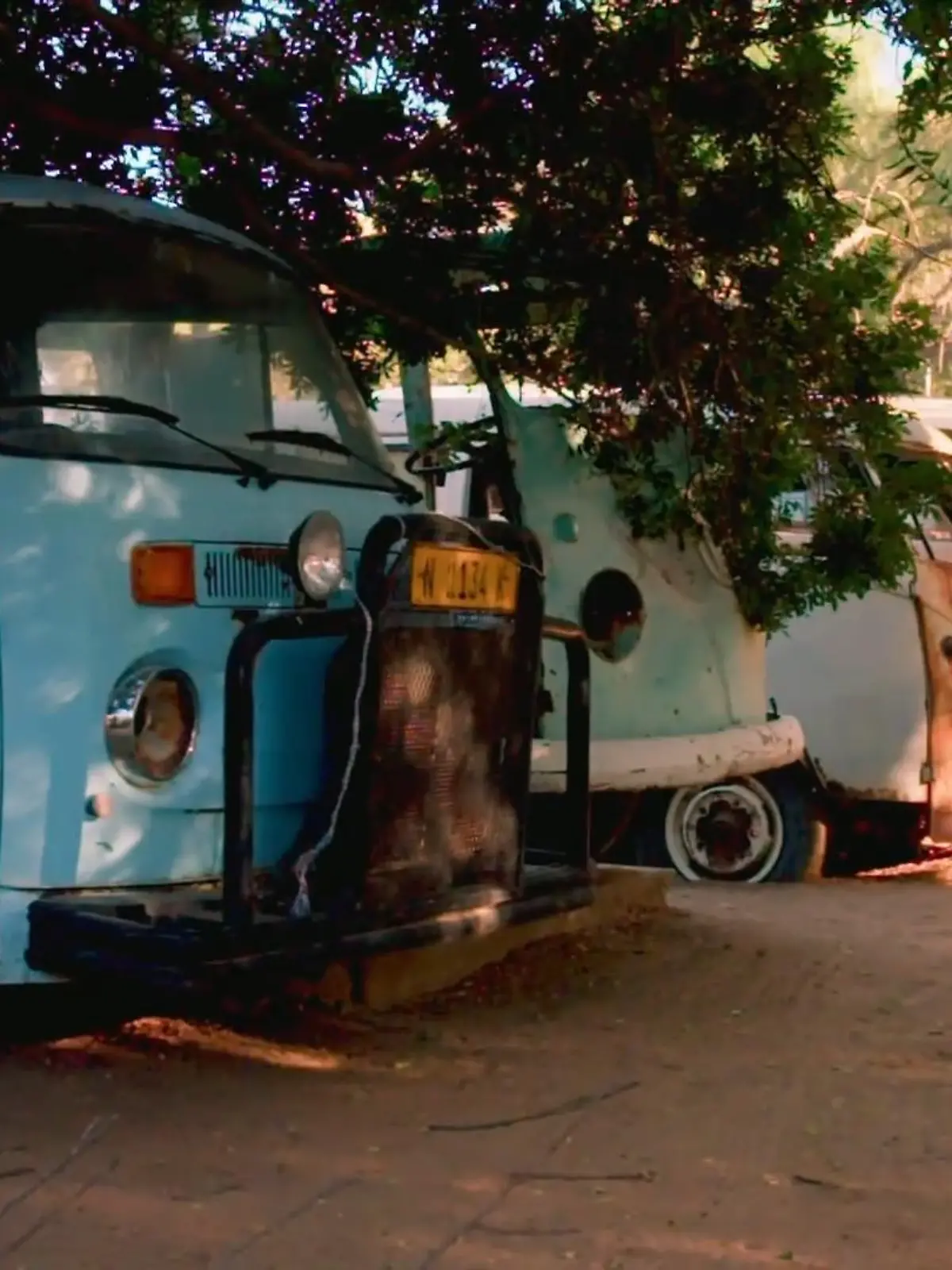 Bild zu: "Auf Bulli-Suche in Namibia"