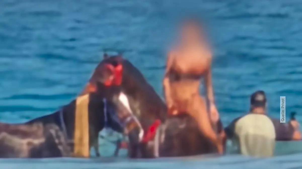 Bei Reitausflug in Ägypten missbraucht? Urlauberin endet sich an RTL