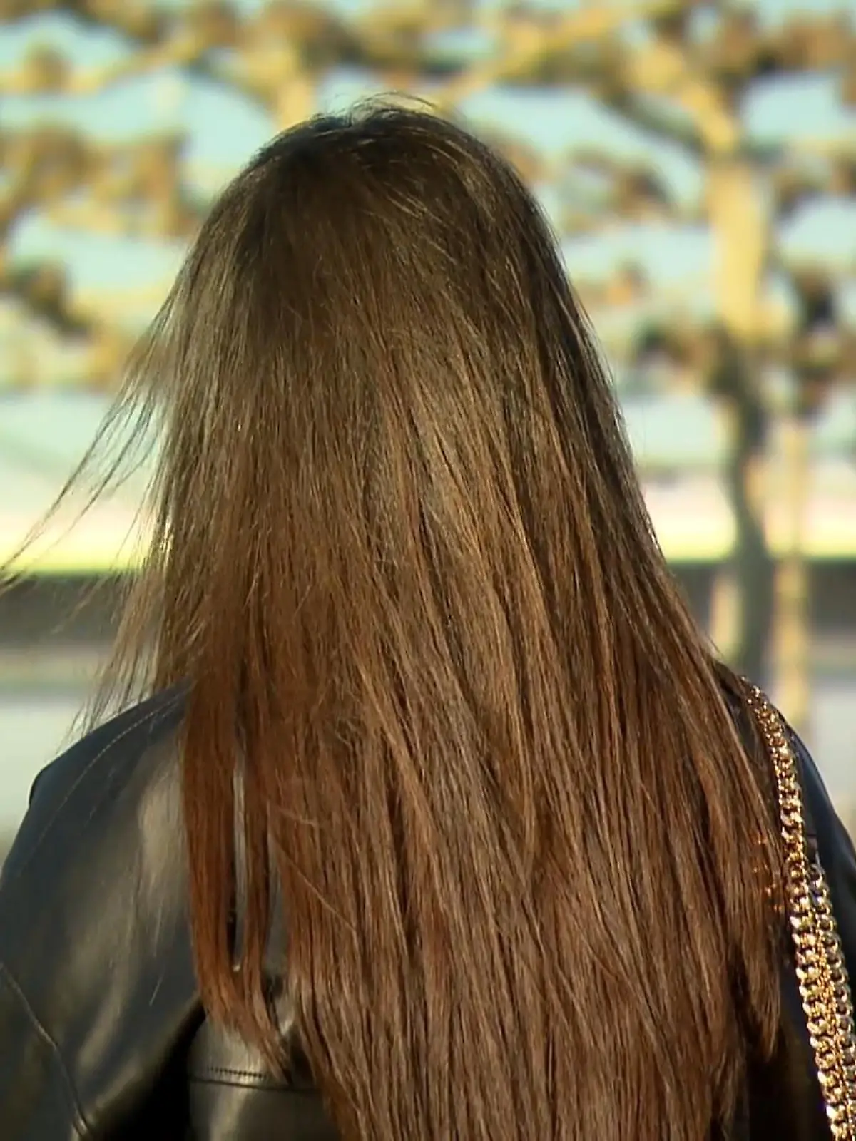 Bild zu: "Bei Reitausflug in Ägypten missbraucht?"