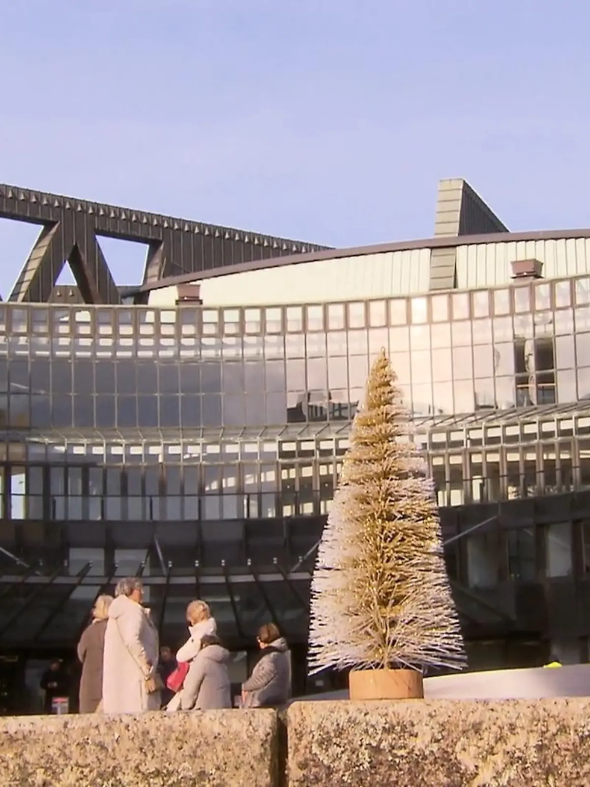 Bild zu: "Weihnachtsbaum darf nicht in den Plenarsaal"