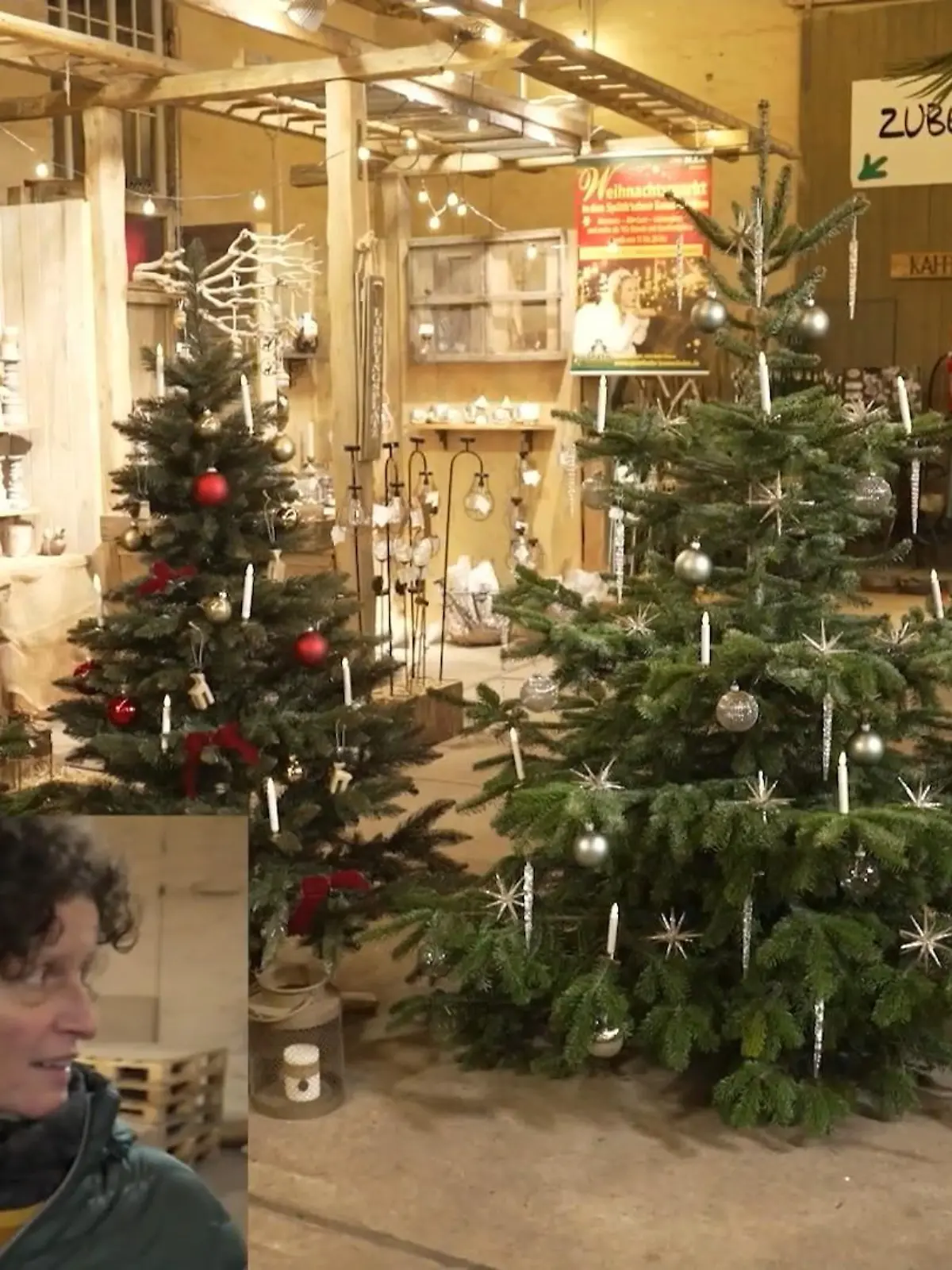 Bild zu: "Der große Tannenbaum-Vergleich"