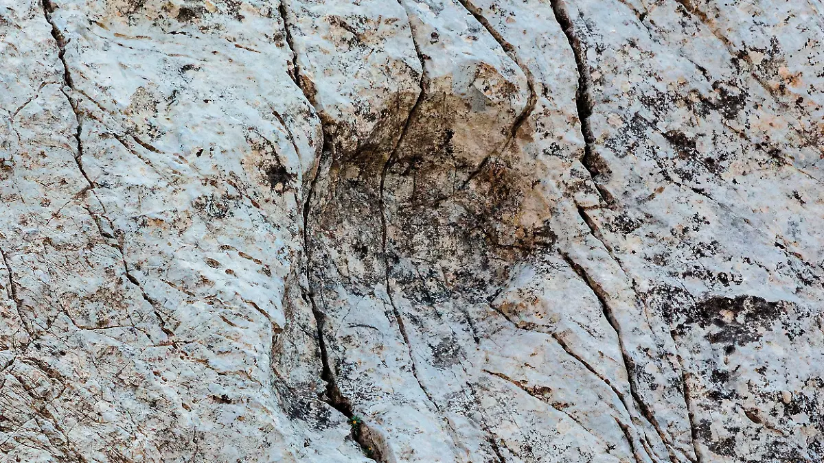 Dieses vom Stelvio National Park zur Verfügung gestellte Foto zeigt einen Fußabdruck eines Prosauropoden aus der späten Trias, der im Fraele-Tal in Norditalien entdeckt wurde. (Aufnahme vom September 2025)