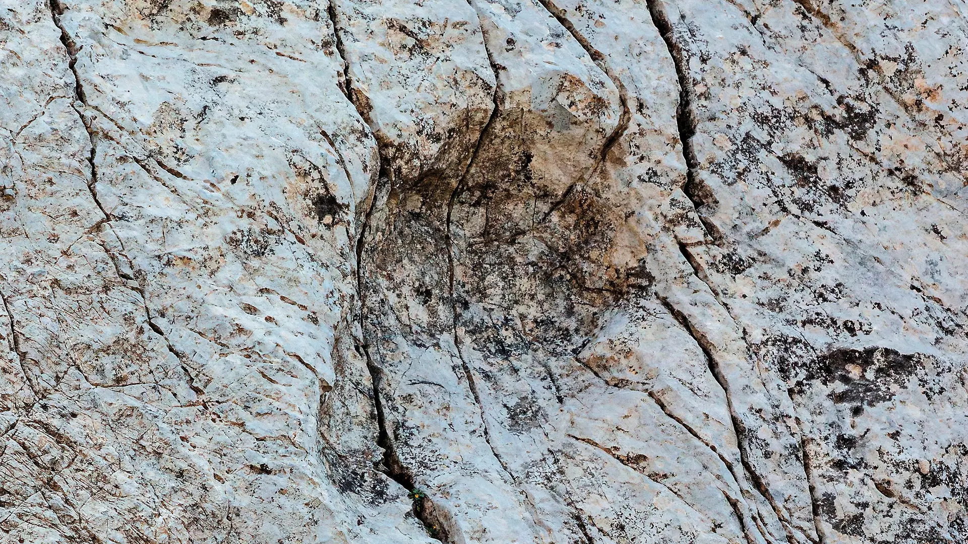 Dieses vom Stelvio National Park zur Verfügung gestellte Foto zeigt einen Fußabdruck eines Prosauropoden aus der späten Trias, der im Fraele-Tal in Norditalien entdeckt wurde. (Aufnahme vom September 2025)