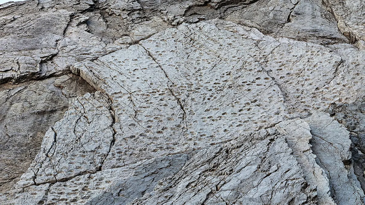 Dieses vom Stelvio National Park zur Verfügung gestellte Foto zeigt Fußabdrücke von Prosauropoden aus der späten Trias an den Hängen des Fraeel-Tals in Norditalien. (Aufnahme vom September 2025) 