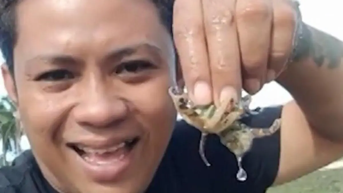 Er spielt mit dem Tod! Mann ärgert Oktopus – sein Biss ist hochgiftig Lebensgefahr am Strand